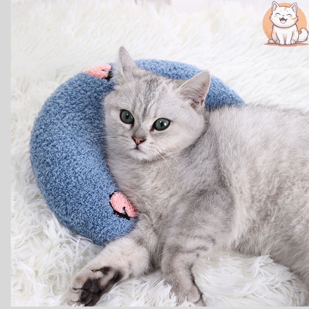  Coussin chat - Bleu