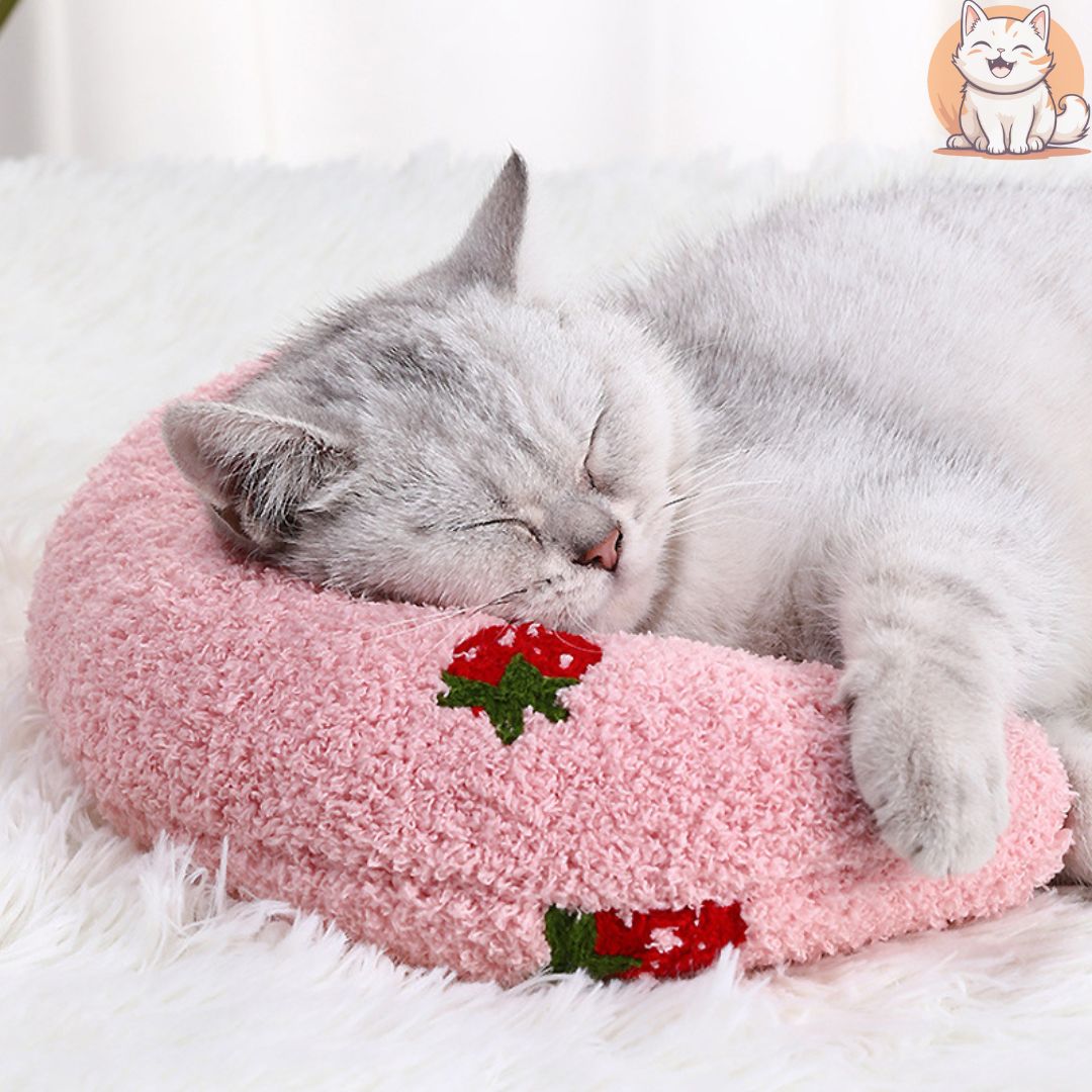   Coussin chat-Rose