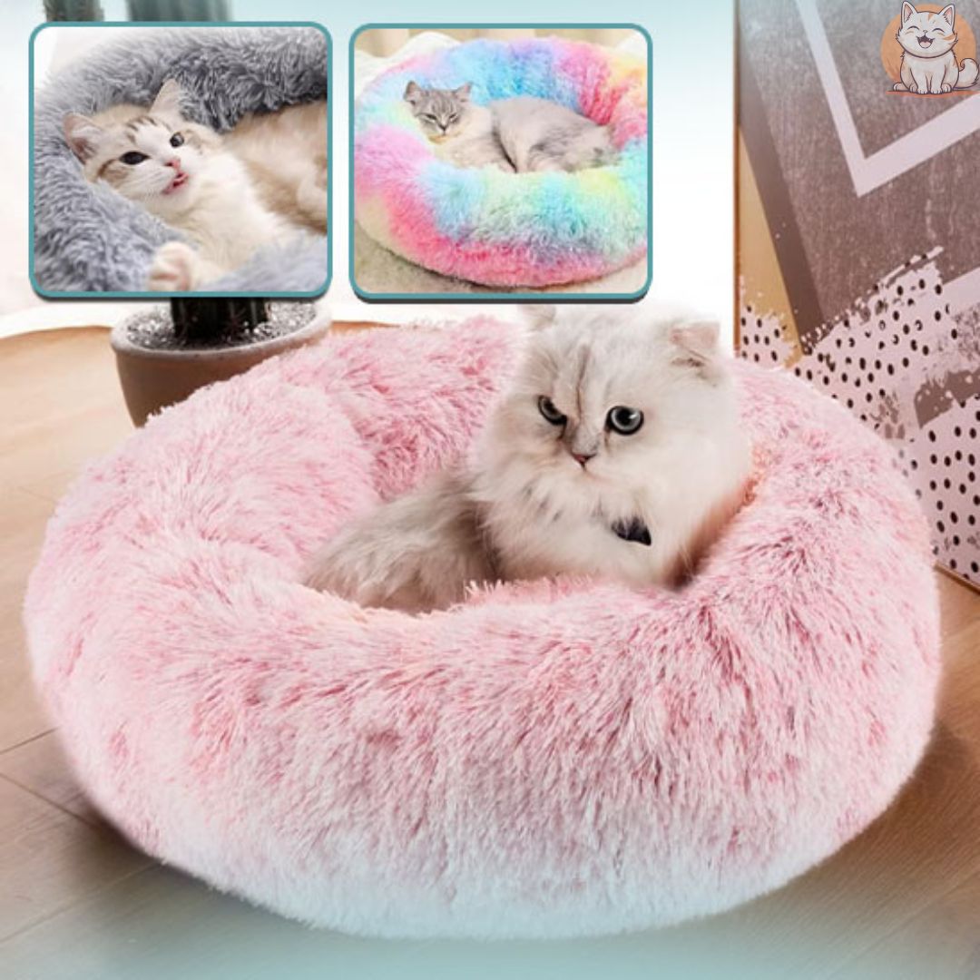 coussin chat - antistress - FUNCHATSTIQUE