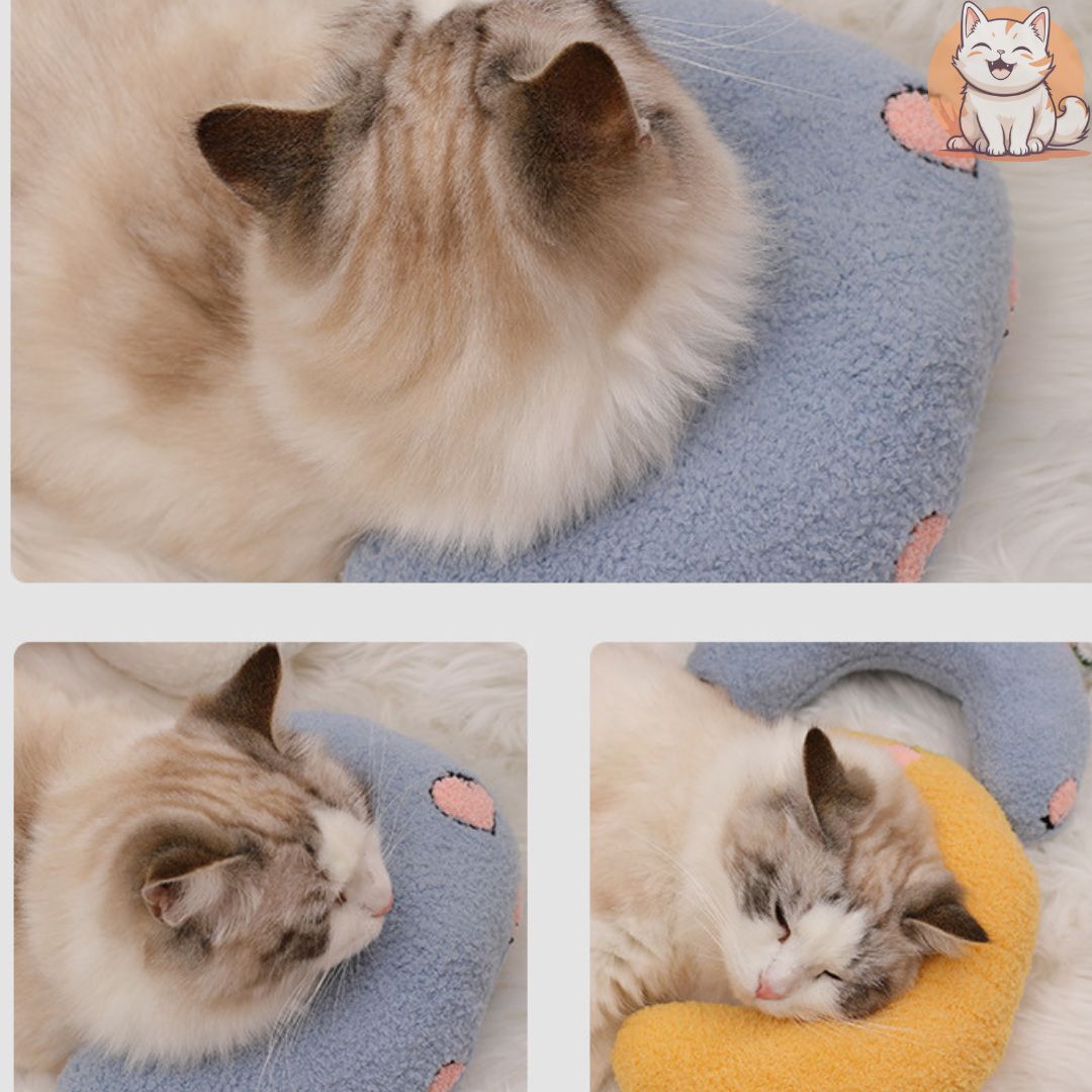 Coussin chat - CatPillow - FUNCHATSTIQUE