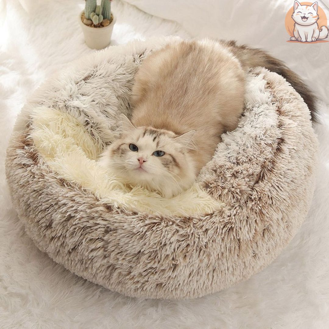 coussin pour chat - NidDouillet - FUNCHATSTIQUE