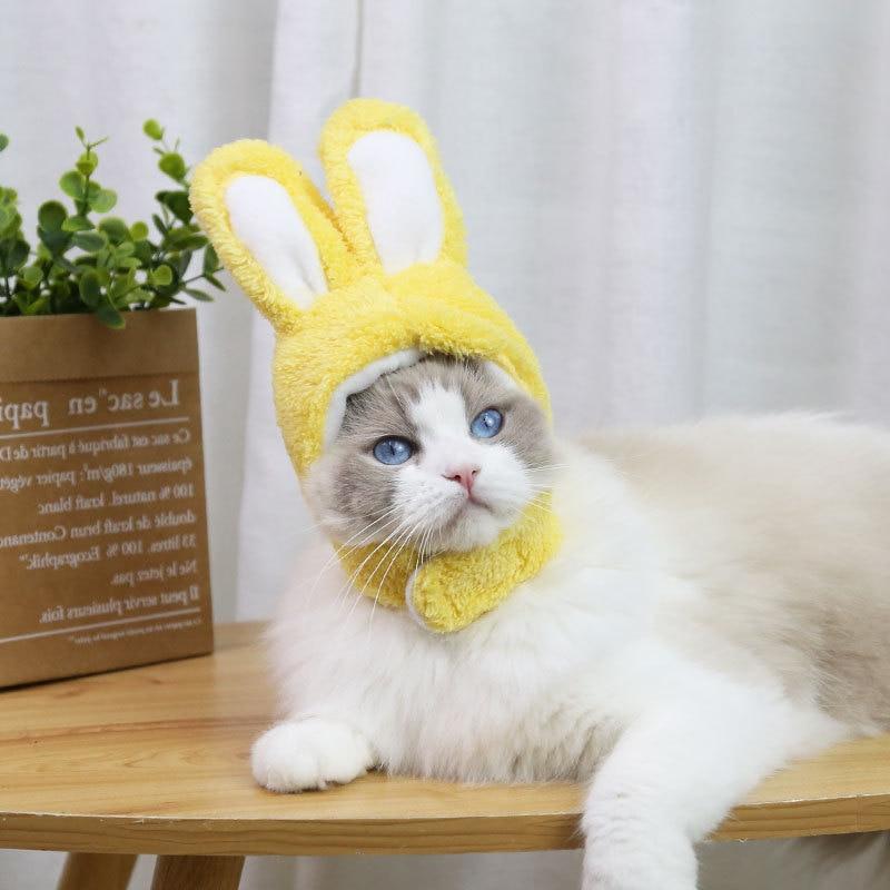 RabbitHat™ - Accessoire de déguisement pour chat - FUNCHATSTIQUE