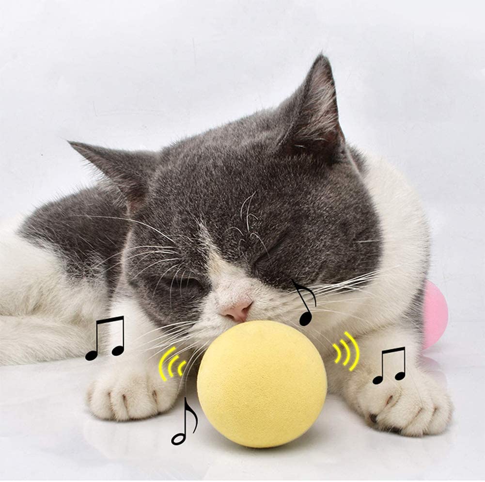 SmartBall™ - Balle intelligente d'apprentissage pour chat - FUNCHATSTIQUE